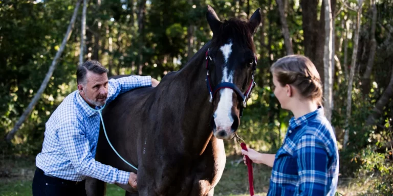 Stuart uses a stethoscope on a horse while the owner holds it steady