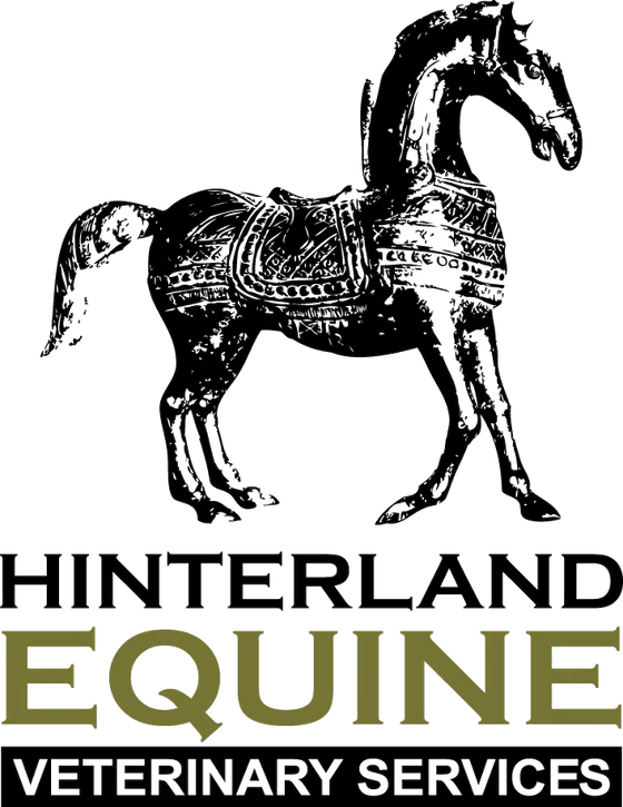 Hinterland Equine Veterinary Services